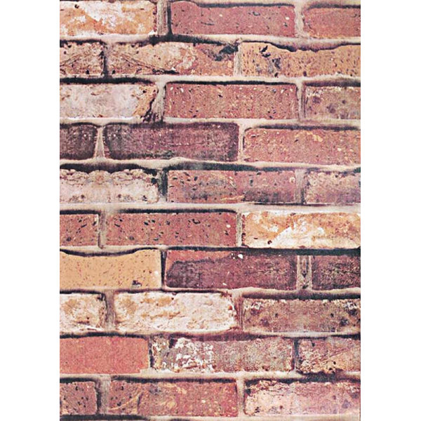 Alchemy Daily Removable Contact Paper, Prepasted Wall Paper Or Adhesive Shelf Paper Wayfair.ca